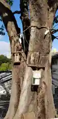 太田姫稲荷神社跡（一口神社）の自然