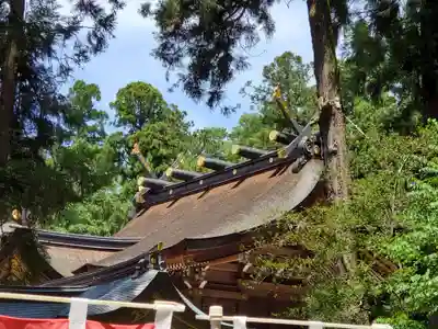 多賀大社の本殿・本堂