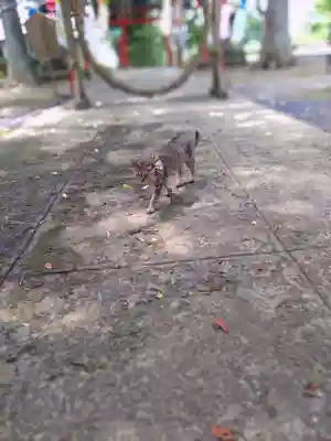 正一位 若草稲荷神社(宮城県)