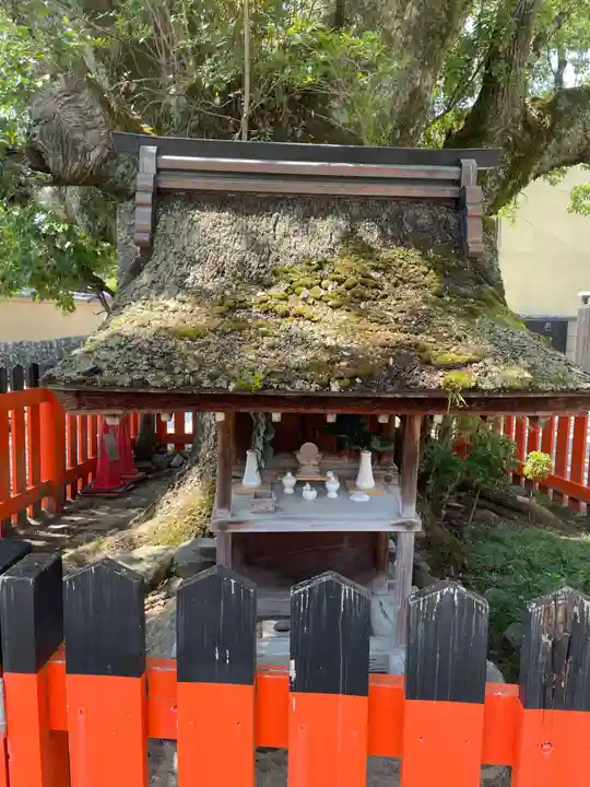 藤木社(賀茂別雷神社末社)(京都府)