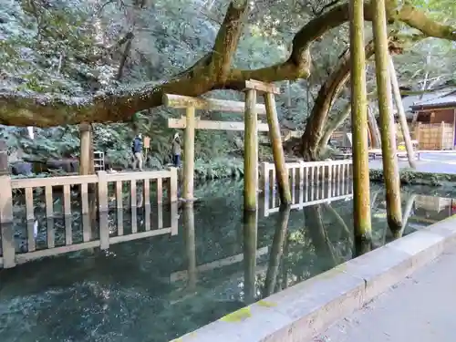 鹿島神宮の庭園