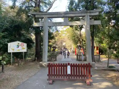 岩槻久伊豆神社(埼玉県)