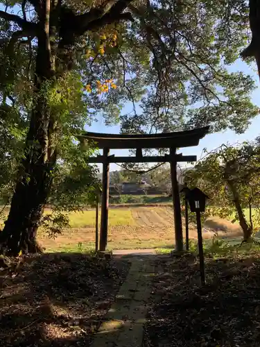 白山神社の鳥居