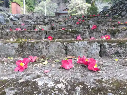 熊野神社(京都府)