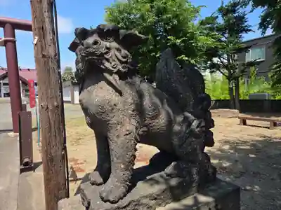 苗穂神社の狛犬