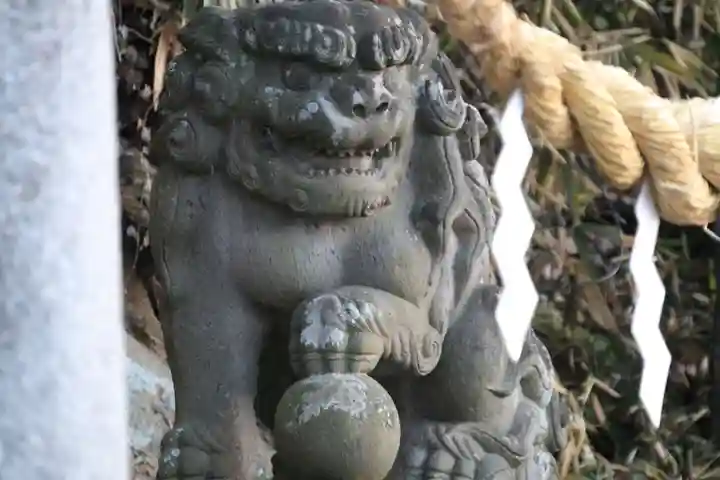 阿久津「田村神社」(郡山市阿久津町)旧社名:伊豆箱根三嶋三社の狛犬