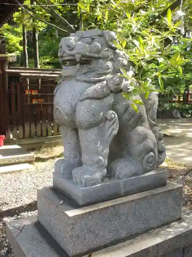 新熊野神社の狛犬