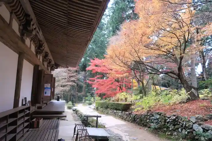 金剛輪寺(滋賀県)