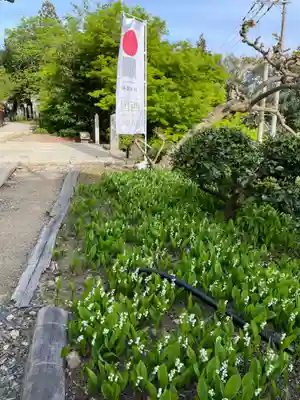 松尾寺(京都府)