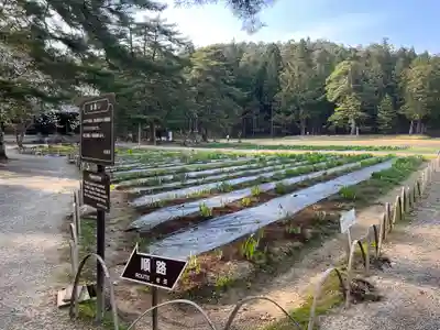 毛越寺(岩手県)