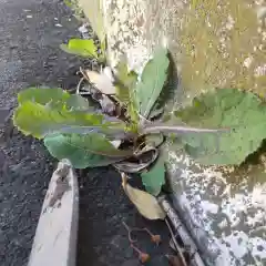 七重浜海津見神社(北海道)