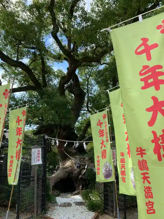 牛嶋天満宮の自然