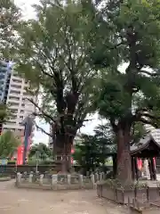 磐井神社の自然