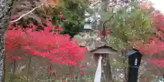 鍬山神社(京都府)