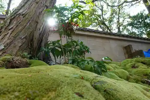 元石清水八幡神社の庭園