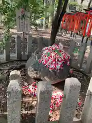 射楯兵主神社(兵庫県)