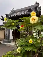 真言宗 善通寺派 薬王寺(香川県)