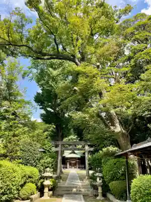 春日神社(神奈川県)