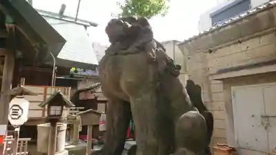 三島神社の狛犬