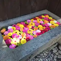 菅生神社の手水