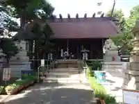 高円寺氷川神社の本殿・本堂