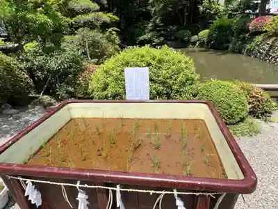 宝登山神社(埼玉県)