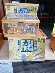 菊名神社のおみくじ