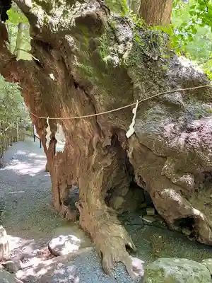 來宮神社(静岡県)