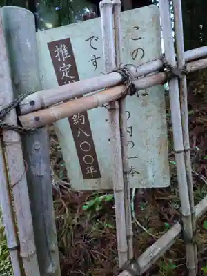 戸隠神社中社(長野県)