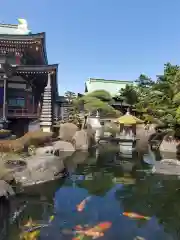 乗蓮寺の庭園