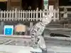 橘樹神社の動物