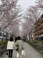 鶴岡八幡宮の周辺