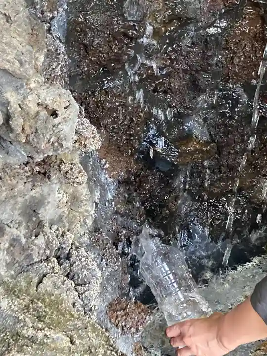 淺間神社(忍野八海)の自然