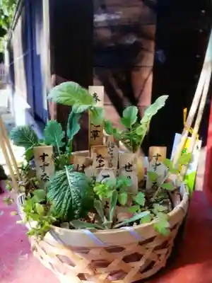 高円寺天祖神社(東京都)