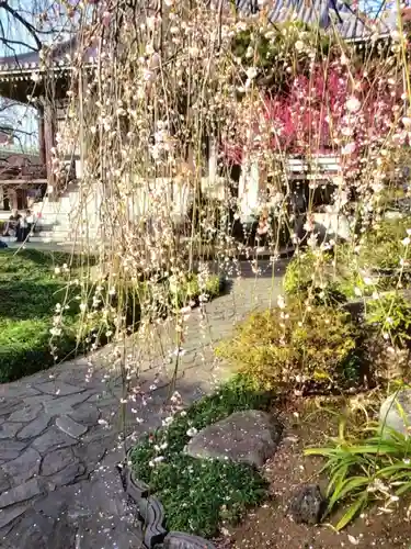 圓照寺(東京都)