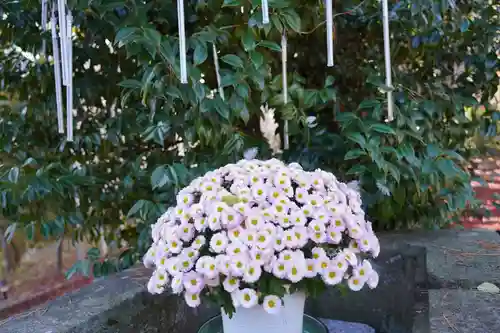 開成山大神宮の自然