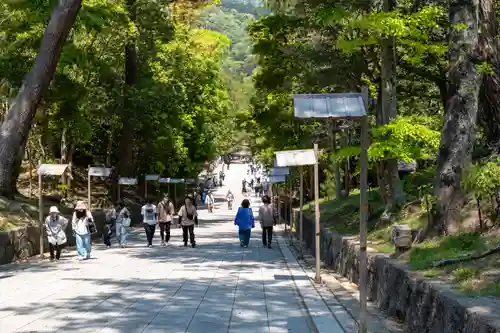 出雲大社(島根県)