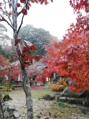 薬王寺の庭園