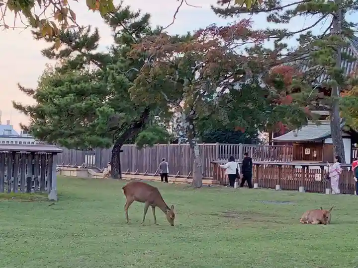 興福寺 南円堂(奈良県)