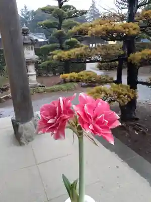 伏木香取神社(茨城県)