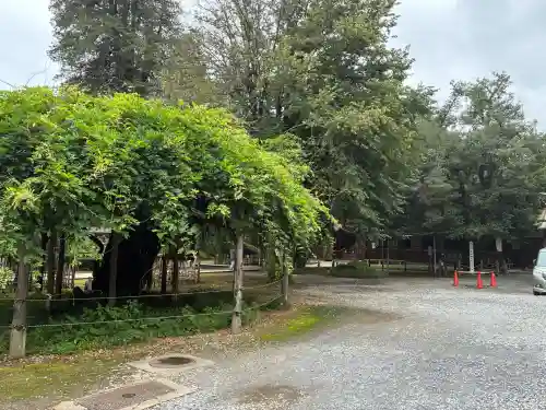 茂林寺(群馬県)