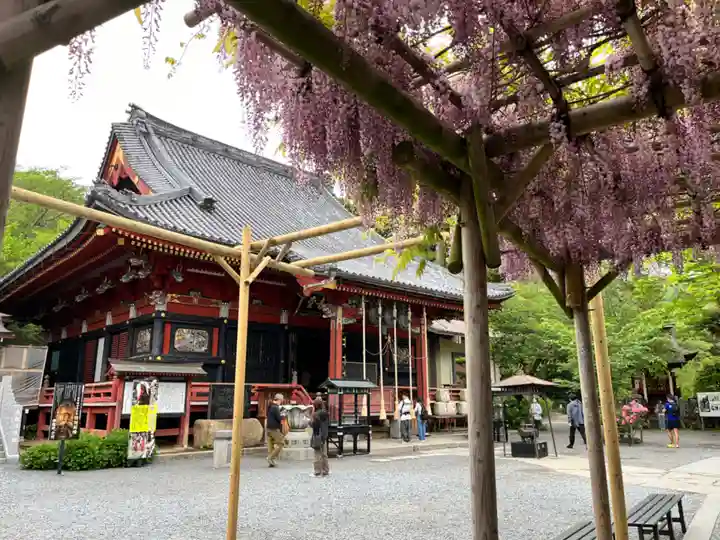 楽法寺(雨引観音)(茨城県)