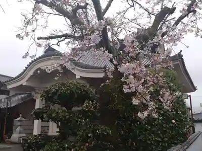 常泉寺(静岡県)