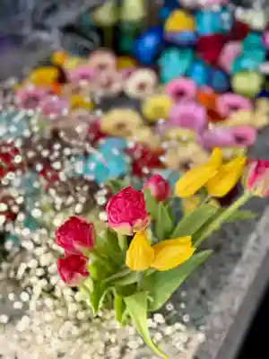 札幌諏訪神社の手水舎