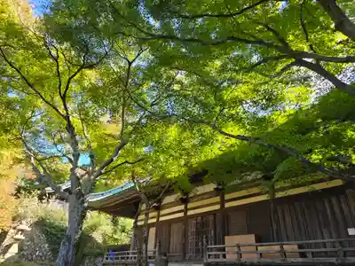 施福寺(大阪府)