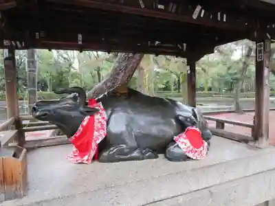 北野天満宮(京都府)