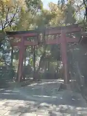 根津神社の鳥居