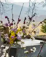 高司神社〜むすびの神の鎮まる社〜(福島県)