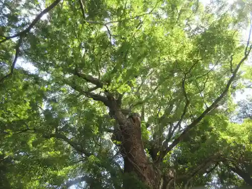 五所神社(神奈川県)