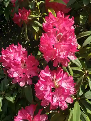 福蔵院(東京都)